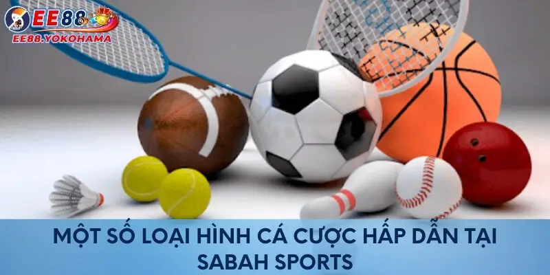 Một số loại hình cá cược hấp dẫn tại Sabah Sports